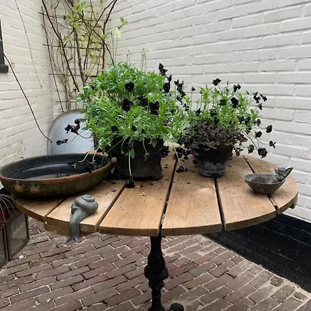 Ferienhaus Gwendolynn Lovely