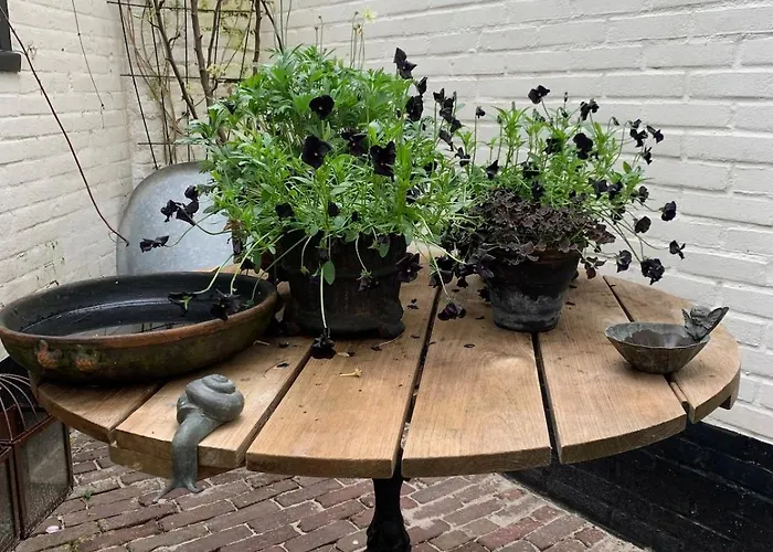 Feriehus Gwendolynn Lovely